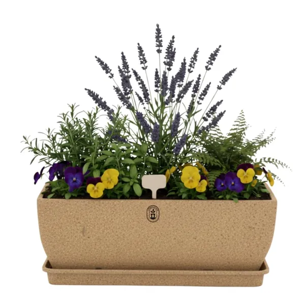Beige_Plastic_Premium_Planter_For_Balcony_And_Office_Gardening