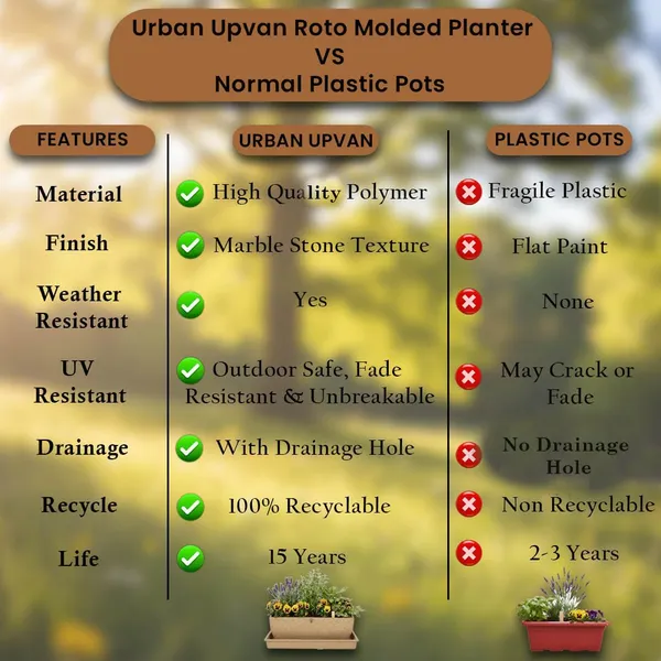 Beige_Plastic_Premium_Planter_For_Balcony_And_Office_Gardening