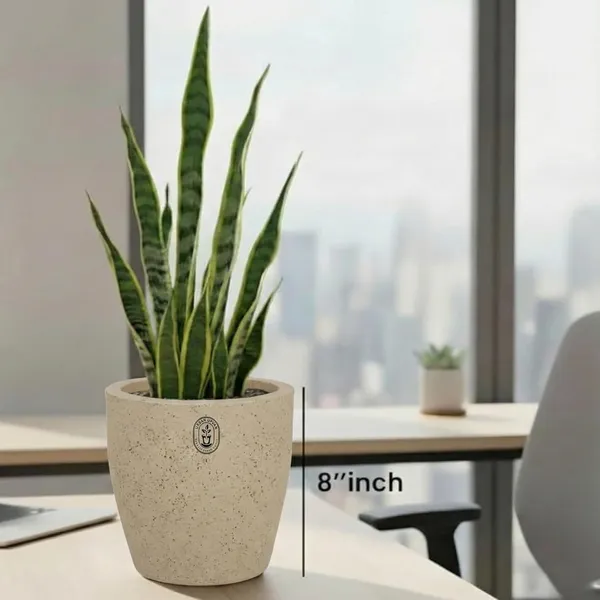 Beige_Plastic_Premium_Planter_For_General_Gardening