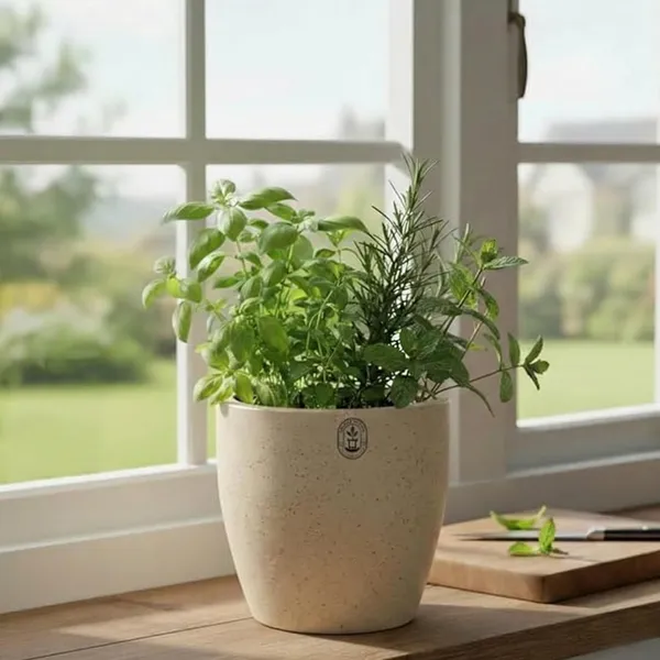 Beige_Plastic_Premium_Planter_For_General_Gardening