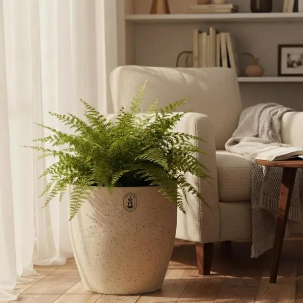 Beige_Plastic_Premium_Planter_For_General_Gardening