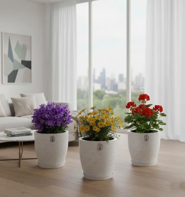 White_Plastic_Premium_Planter_For_General_Planting