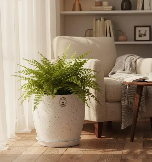 White_Plastic_Premium_Planter_For_General_Planting