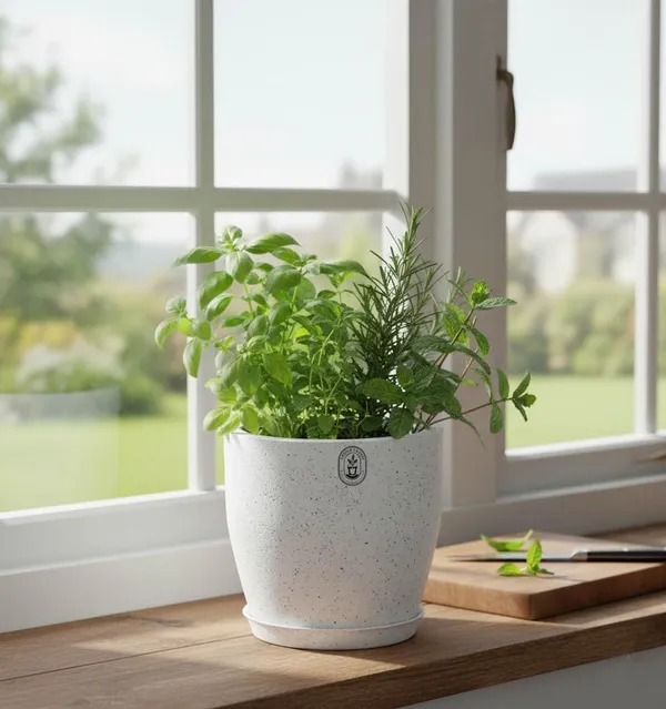 White_Plastic_Premium_Planter_For_General_Planting