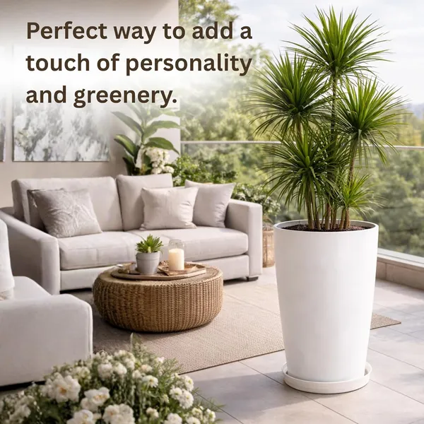 White_Plastic_Premium_Planter_For_General_Planting