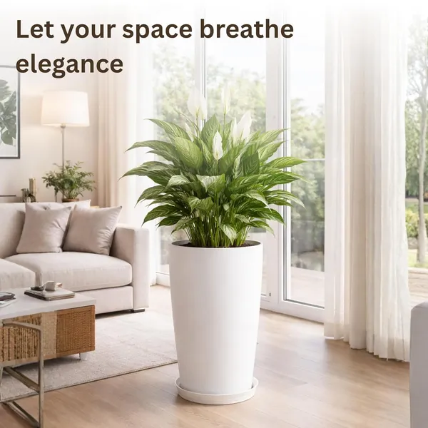 White_Plastic_Premium_Planter_For_General_Planting