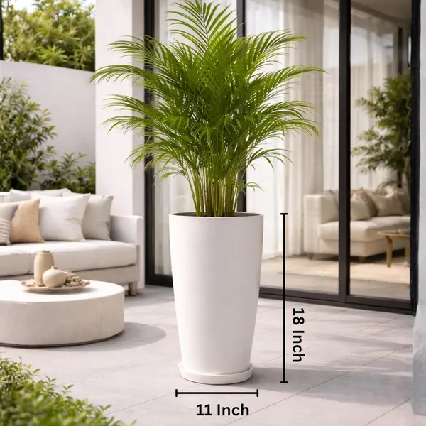 White_Plastic_Premium_Planter_For_General_Planting