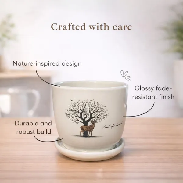 White_Ceramic_Premium_Planter_For_Premium_Indoor_Gifting