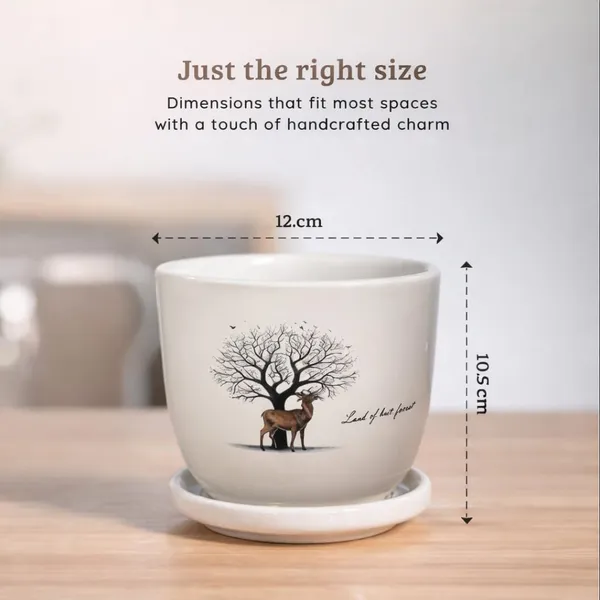 White_Ceramic_Premium_Planter_For_Premium_Indoor_Gifting