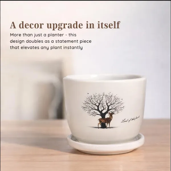 White_Ceramic_Premium_Planter_For_Premium_Indoor_Gifting