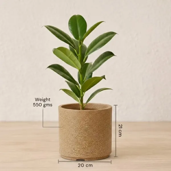 Beige_Plastic_Premium_Tower_Planter_For_Tall_Ornamental_Plants