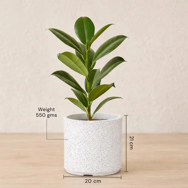White_Plastic_Premium_Tower_Planter_For_Decorative_Tall_Planting