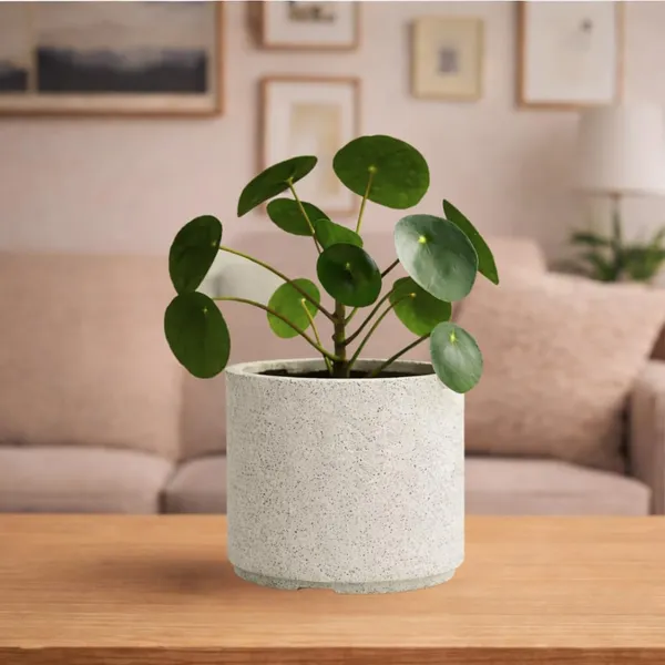 White_Plastic_Premium_Tower_Planter_For_Decorative_Tall_Planting