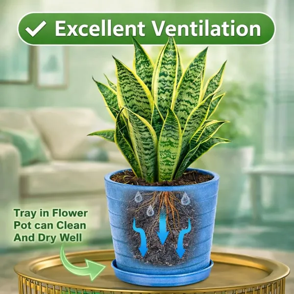 Light_Blue_Plastic_Premium_Planter_For_Stylish_Home_Decor