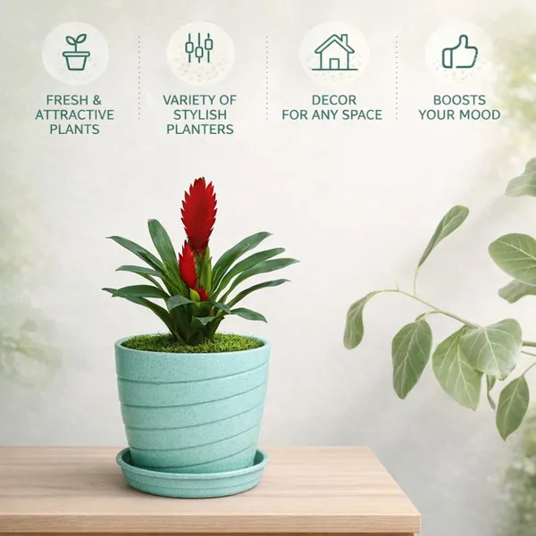Light_Blue_Plastic_Premium_Planter_For_Stylish_Home_Decor