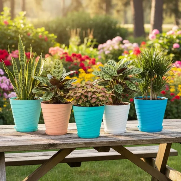 Light_Blue_Plastic_Premium_Planter_For_Stylish_Home_Decor
