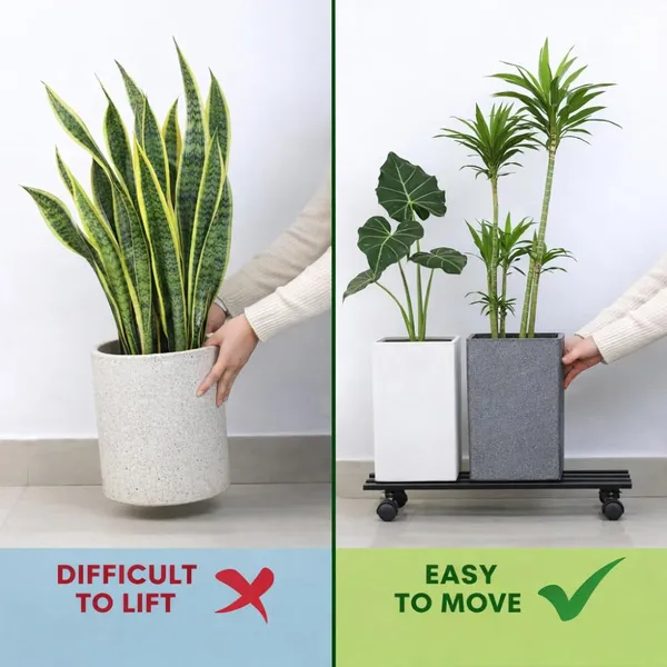 Black_Metal_And_Plastic_Premium_Plant_Stand_For_Easy_Movement_Of_Heavy_Pots