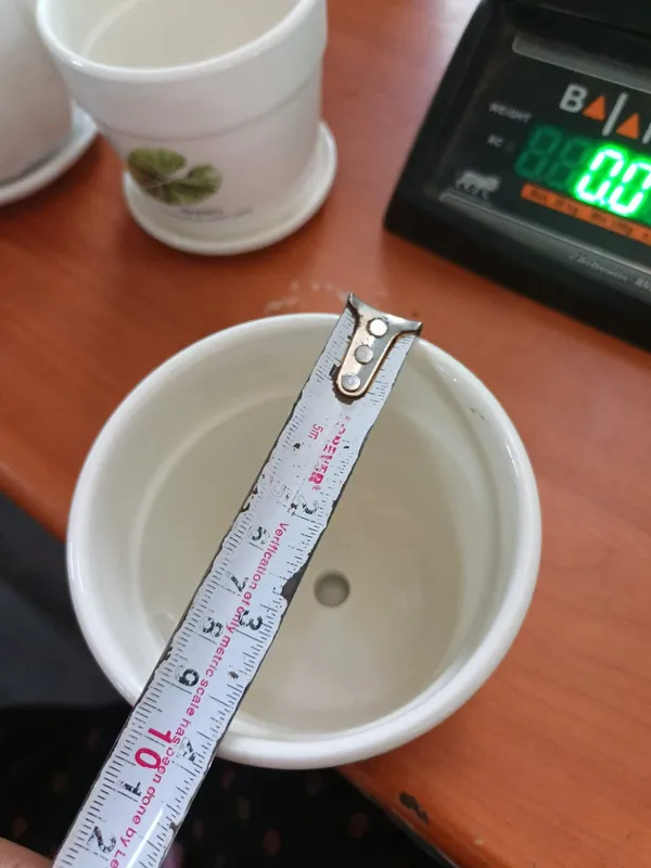 White_Ceramic_Premium_Planter