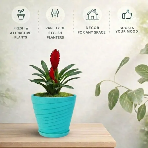 Green_Plastic_Premium_Planter_For_Home,_Garden_And_Balcony