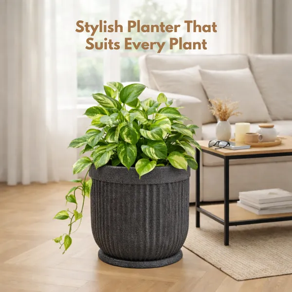 Black_Glory_Rotofiber_Planter