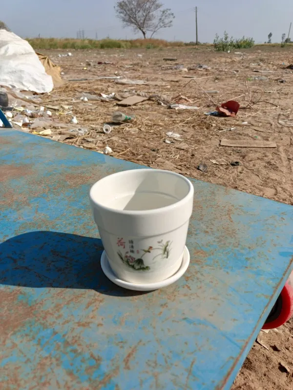 White_Ceramic_Premium_Planter