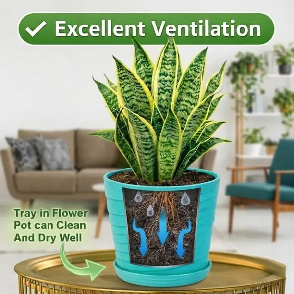 Green_Plastic_Premium_Planter_For_Home,_Garden_And_Balcony