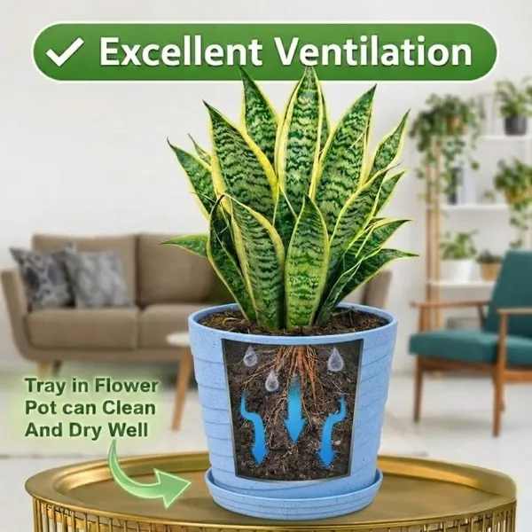 Cyan_Plastic_Premium_Planter_For_Home,_Garden_And_Balcony