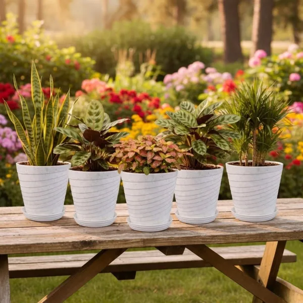 White_Plastic_Premium_Planter_For_Home,_Garden_And_Balcony
