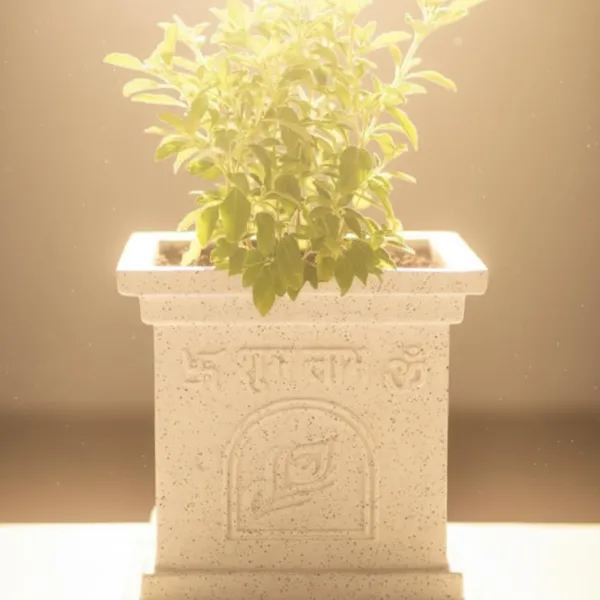 White_Polymer_Premium_Tulsi_Planter_For_Living_Room,_Balcony,_Office