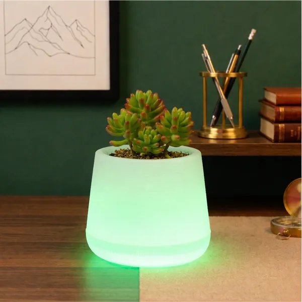 Green_Plastic_Premium_Led_Planter_For_Gifting,_Table_Top_And_Bedroom