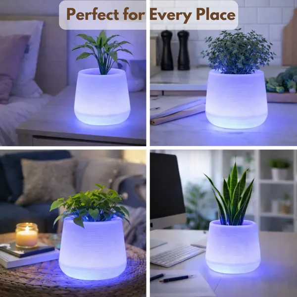 Blue_Plastic_Premium_Led_Planter_For_Gifting,_Table_Top_And_Bedroom