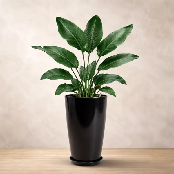 Black_Plastic_Premium_Tower_Planter_For_Large_Indoor_And_Outdoor_Plants