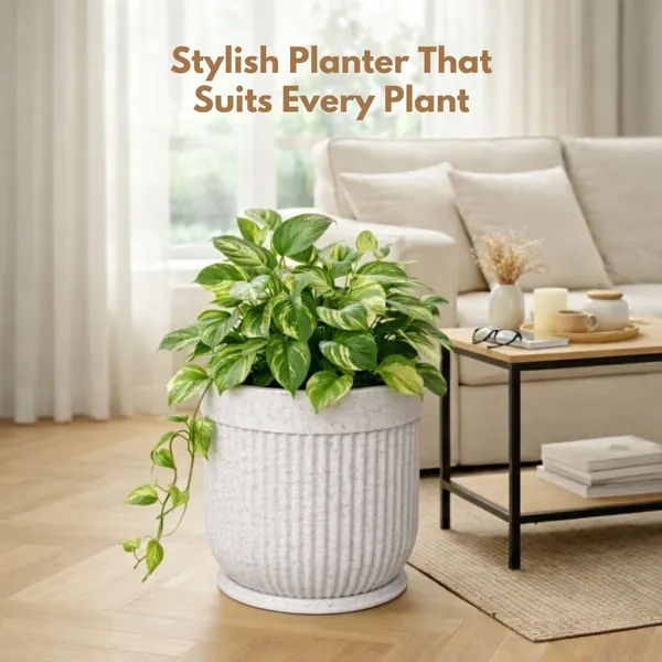 White_Polymer_Premium_Planter_For_Home,_Garden,_Balcony_And_Office