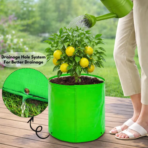Green_Hdpe_Fabric_Premium_Grow_Bag_For_Terrace_And_Vegetable_Gardening