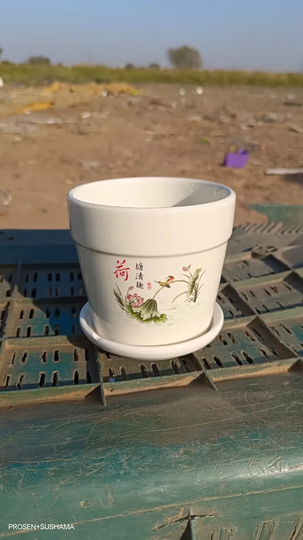 White_Ceramic_Premium_Planter