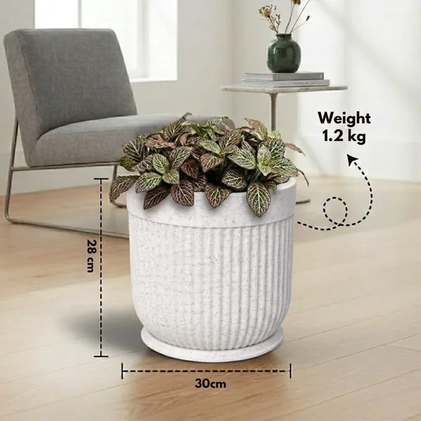 White_Polymer_Premium_Planter_For_Home,_Garden,_Balcony_And_Office