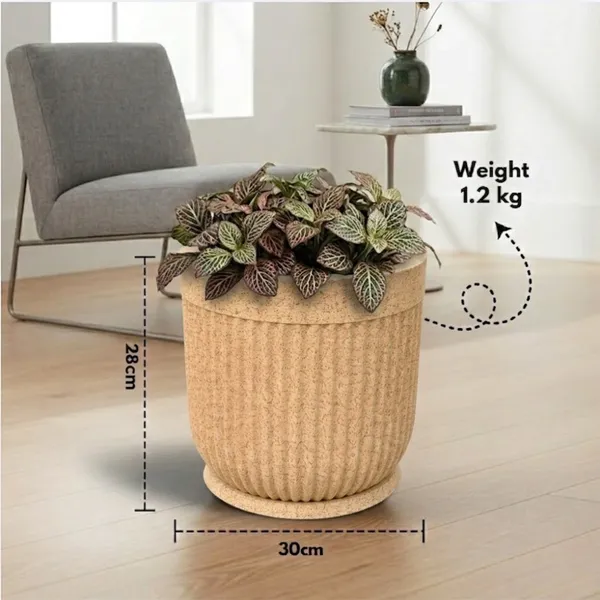 Beige_Polymer_And_Plastic_Premium_Planter_For_Indoor_And_Outdoor_Plants,_Home,_Office