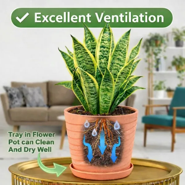 Beige_Plastic_Premium_Planter_For_Home,_Garden_And_Balcony