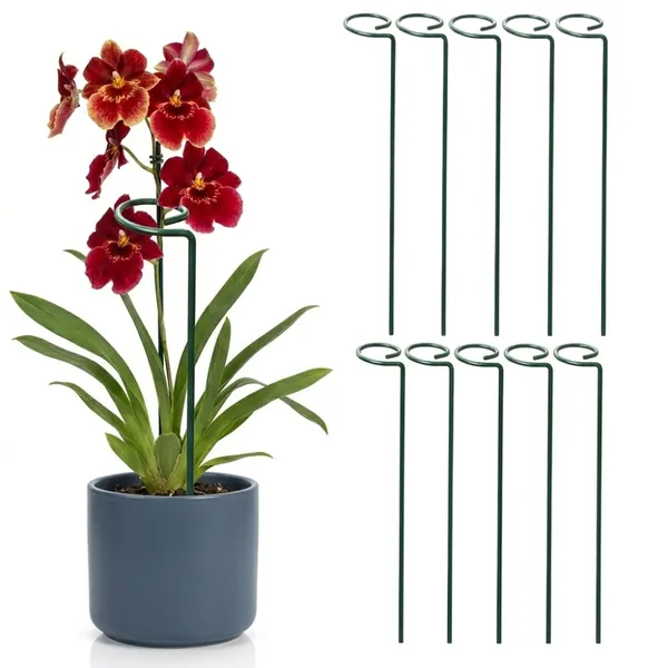 Blue_Metal_Premium_Plant_Support_For_Strong_And_Healthy_Plant_Growth