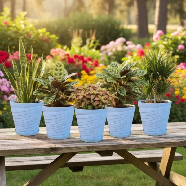 Cyan_Plastic_Premium_Planter_For_Home,_Garden_And_Balcony