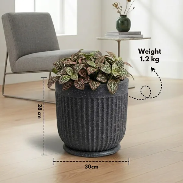 Black_Glory_Rotofiber_Planter