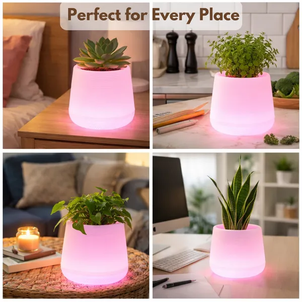 Pink_Led_Planter_For_Gifting,_Table_Top_And_Bedroom
