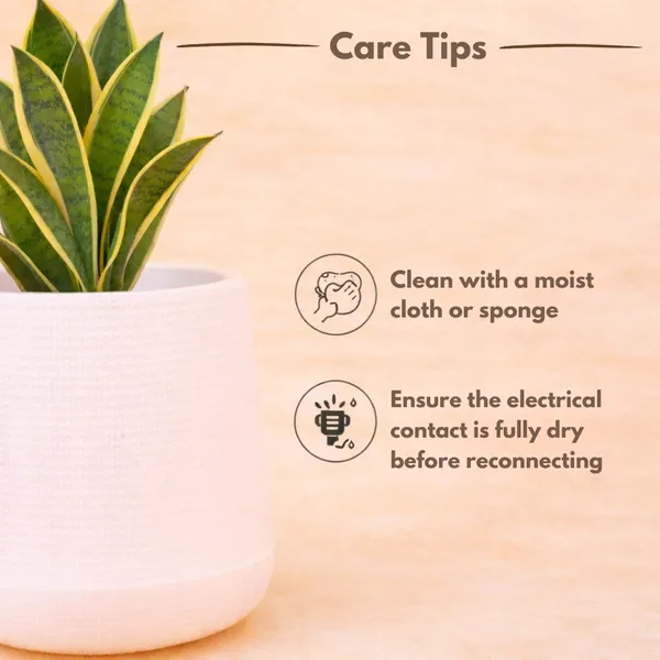 Yellow_Plastic_Premium_Led_Planter_For_Gifting,_Table_Top_And_Bedroom