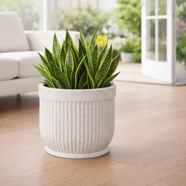 White_Polymer_Premium_Planter_For_Home,_Garden,_Balcony_And_Office