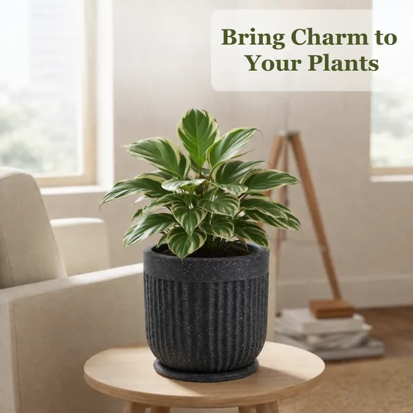 Black_Glory_Rotofiber_Planter