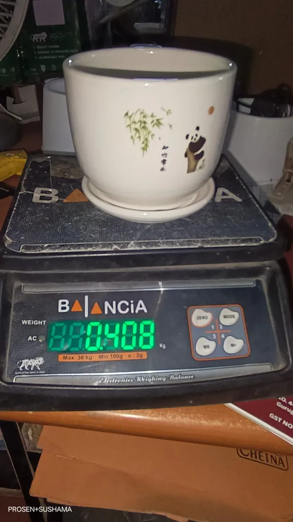 Panda_Printed_Ceramic_Premium_Planter