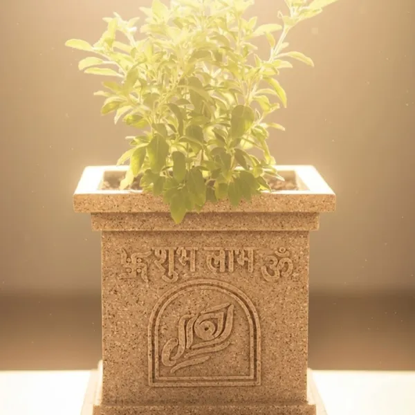 Beige_Polymer_Premium_Tulsi_Planter_For_Living_Room,_Balcony,_Office