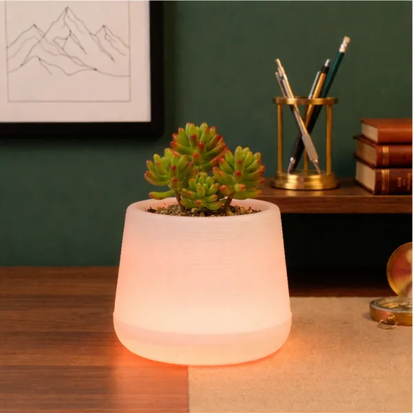 Orange_Plastic_Premium_Led_Planter_For_Gifting,_Table_Top_And_Bedroom