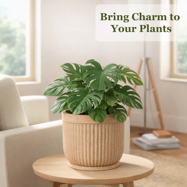 Beige_Polymer_And_Plastic_Premium_Planter_For_Indoor_And_Outdoor_Plants,_Home,_Office