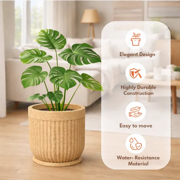Beige_Polymer_And_Plastic_Premium_Planter_For_Indoor_And_Outdoor_Plants,_Home,_Office